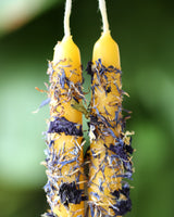 Summer Solstice Limited Edition Beeswax Candle set